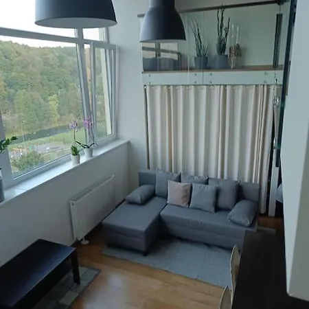 River Vilnele View *