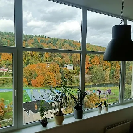 River Vilnele View *