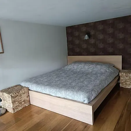 River Vilnele View *