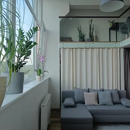 River Vilnele View Апартаменты *