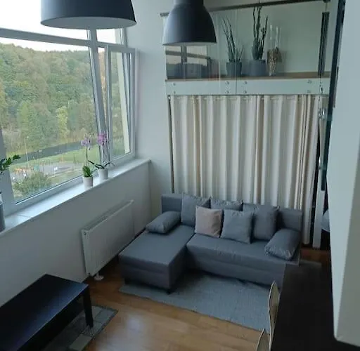 River Vilnele View *