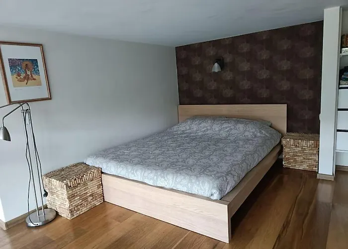 River Vilnele View *