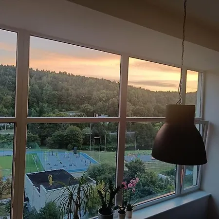 Apartment River Vilnele View
